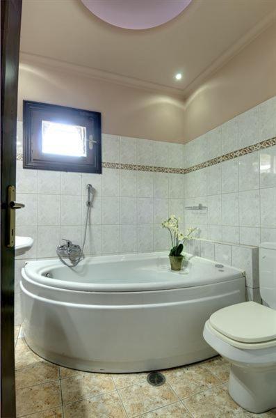 Iatrou Guesthouse Portariá Pokój zdjęcie